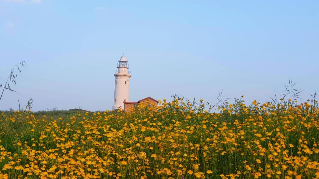 Paphos Dahan Sirena Lighthouse Luxury Apartment מראה חיצוני תמונה