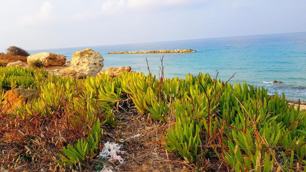Paphos Dahan Sirena Lighthouse Luxury Apartment מראה חיצוני תמונה